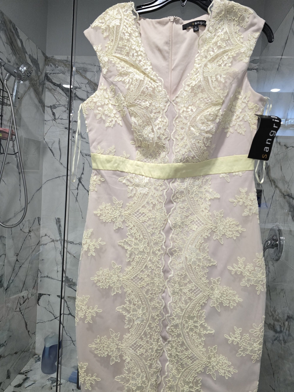 Signature by Sangria Pale Pink Lace Sheath Dress with Cream Appliqué